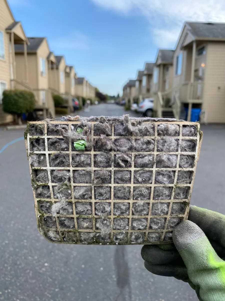 Dryer lint screen packed with lint and debris — restricted airflow and a common residential fire hazard